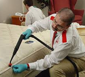 Bed Bugs Control