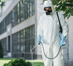 Commertial Pest Control in Badlapur