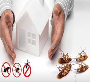 General Pest Control Ulhasnagar