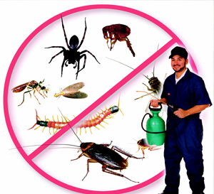 Pest Control Service Ambernath